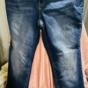 Lane Bryant Dark Wash Blue Straight Leg Jeans